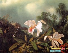 display_image (12)7